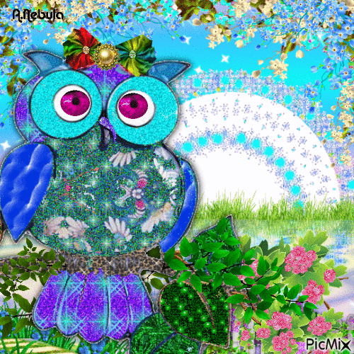 Colorful Owl / contest - GIF animé gratuit