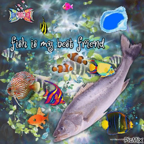 fish collage - GIF animé gratuit
