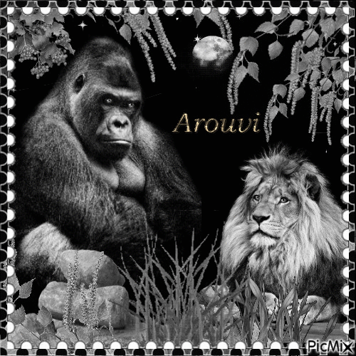 Gorille et Lion - Gratis animeret GIF