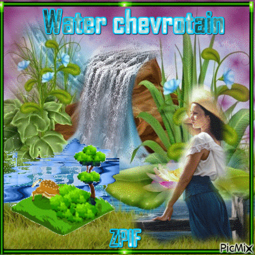 Water chevrotain - GIF animé gratuit