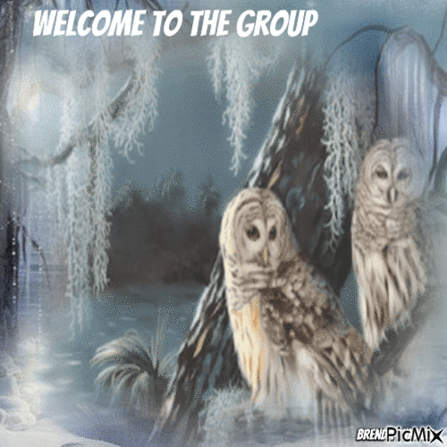 winter welcome owl - Безплатен анимиран GIF