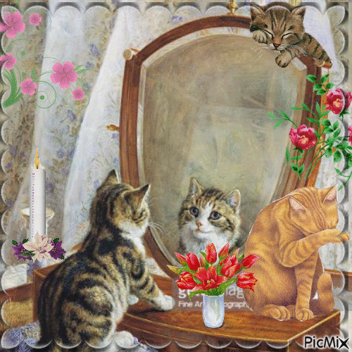 le chat et le miroir - 無料のアニメーション GIF