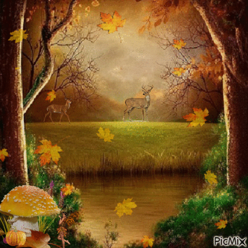 Autumn meadow - 無料のアニメーション GIF