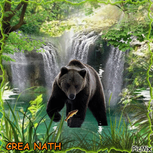 L'ours - Nemokamas animacinis gif