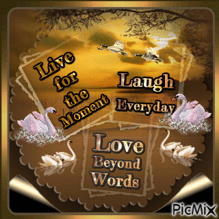 Live Laugh Love - Безплатен анимиран GIF