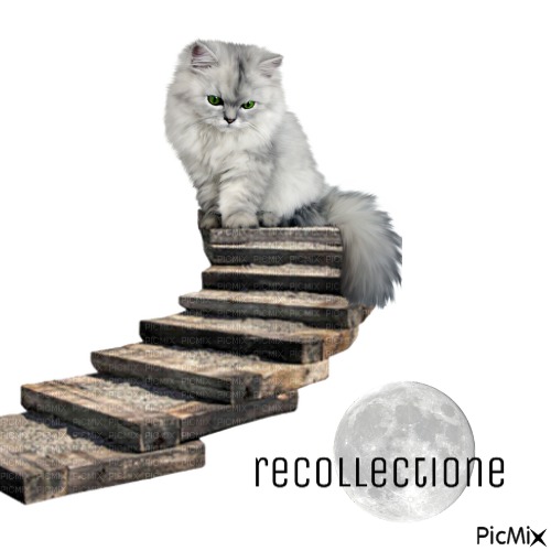 recollection - kostenlos png