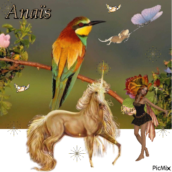 oiseaux, souris, licorne et fée - Darmowy animowany GIF