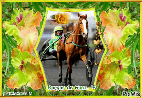 Le champion Dorgos de Guez. © - Zdarma animovaný GIF