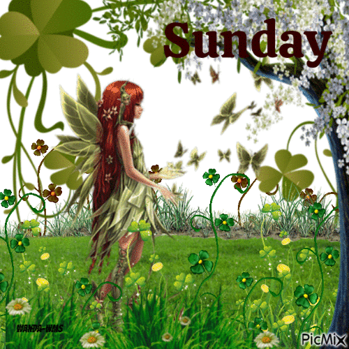 St. Patrick's-fairies-Sunday - Zdarma animovaný GIF