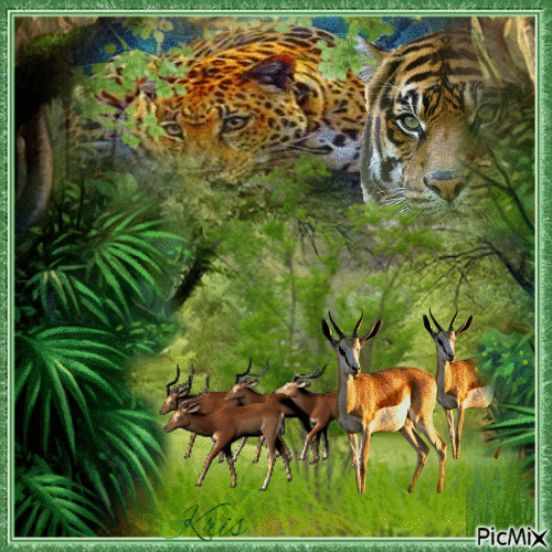 Tête de tigre en mouvement avec des animaux - Gratis animerad GIF