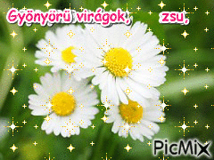 Gyönyörű virágok,6,2, - 免费动画 GIF
