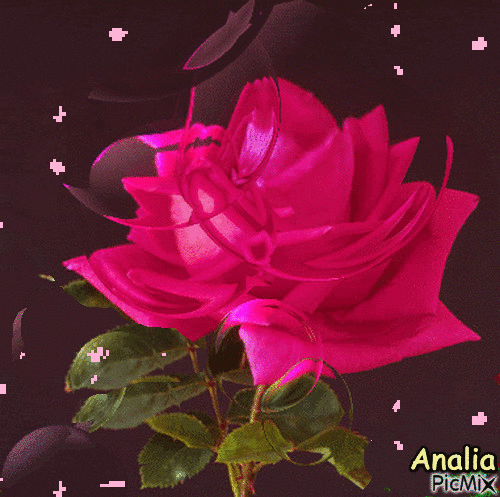 hermosa noche de rosas y jazmines - GIF animado gratis - PicMix