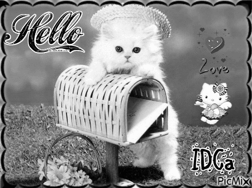 Hello les chatons - Bezmaksas animēts GIF