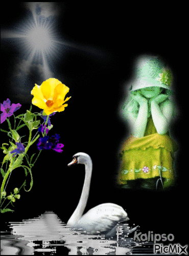 White swan - Ingyenes animált GIF