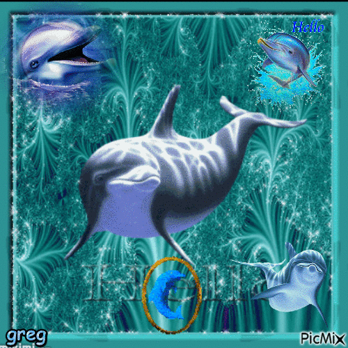 Nos amis les dauphins - Gratis geanimeerde GIF