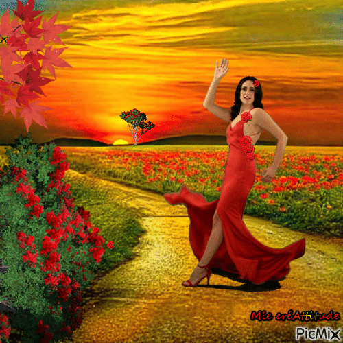 Flamenco & coquelicots :) - GIF animado grátis