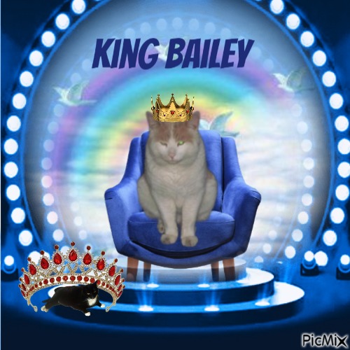 bailey - PNG gratuit