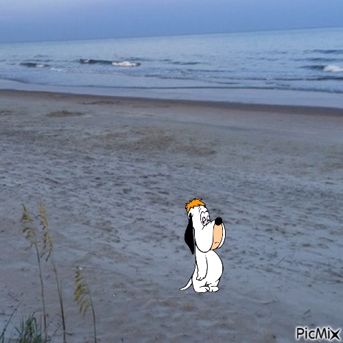 Droopy in real life - безплатен png