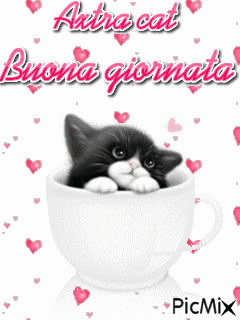 gattino con cuori - Darmowy animowany GIF