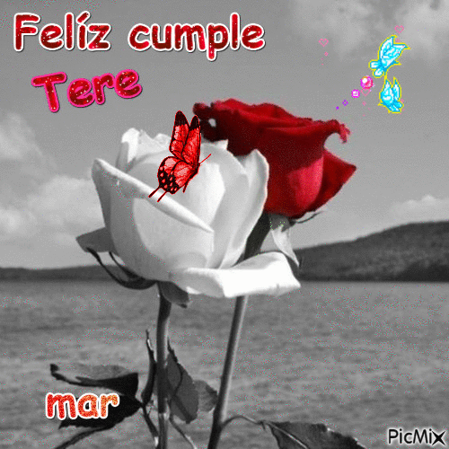 tere - Free animated GIF