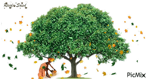 tree - Nemokamas animacinis gif