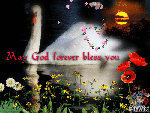 May God forever bless you - 免费动画 GIF