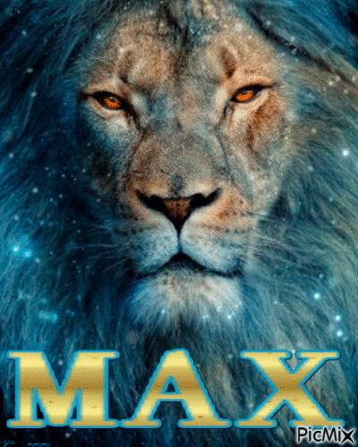 MAX - 無料のアニメーション GIF