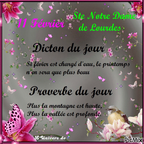 dicton et proverbe 11 février - Darmowy animowany GIF