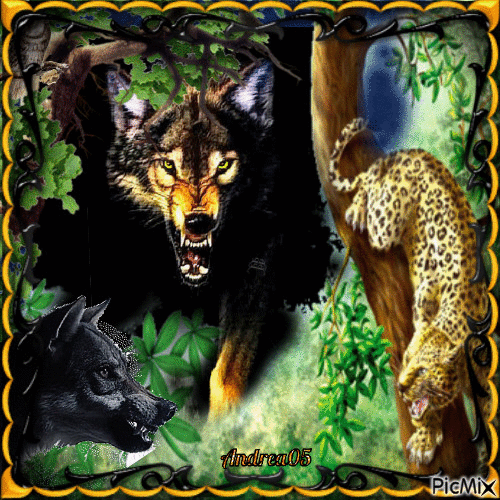 Hunting wolves... - GIF animado grátis