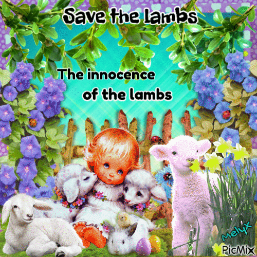The innocence of the lamb enjoy easter - Free animated GIF