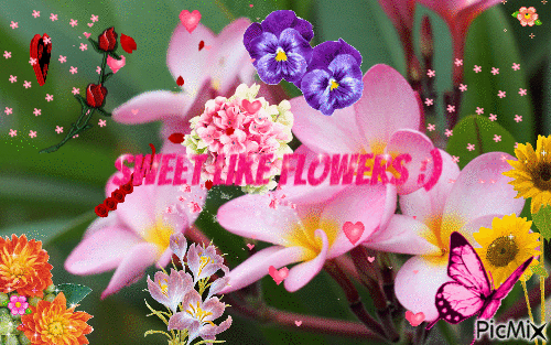 Flower lover^^ - GIF animé gratuit