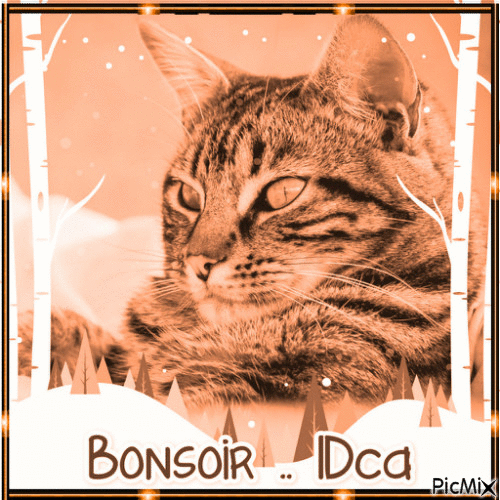 Bonsoir  les chatons - Δωρεάν κινούμενο GIF