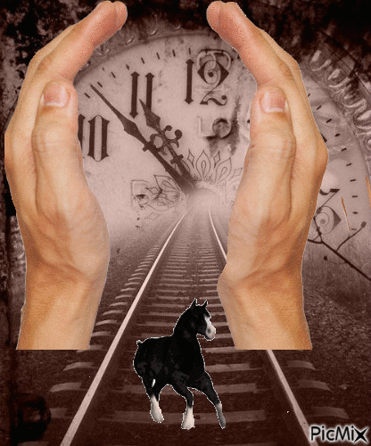 El tiempo es un caballo trotón - Δωρεάν κινούμενο GIF