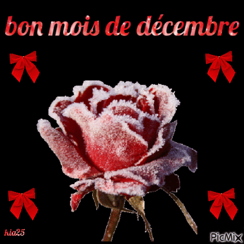 décembre16 - Free animated GIF