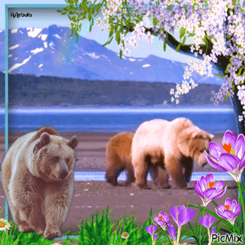 Have a nice day/Bears/ mountain/lake/ spring - Бесплатный анимированный гифка