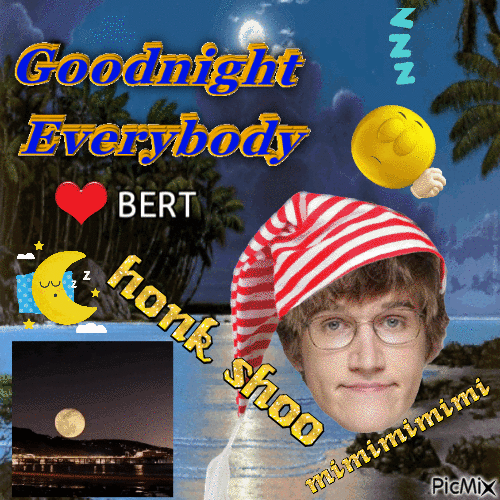 goodnight everybody Bert - GIF animado grátis