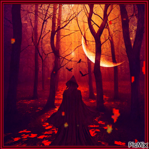 AUTUMN FOREST - Free animated GIF