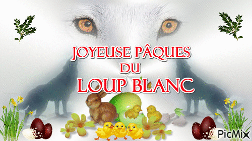 Joyeuse pâques a vous du Loup blanc :) - Zdarma animovaný GIF