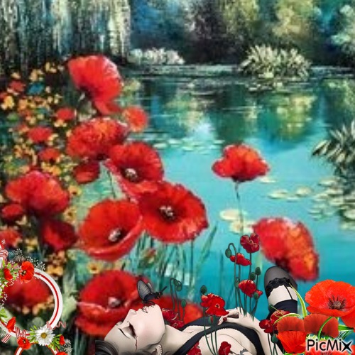 Coquelicots rouges - δωρεάν png