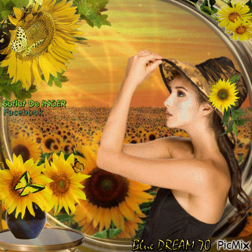 Sunflower field - Bezmaksas animēts GIF