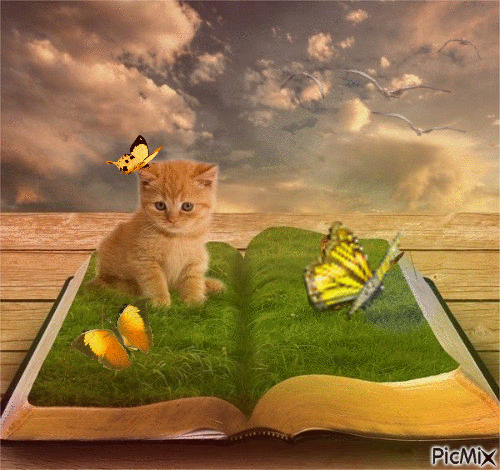 chaton sur un livre - GIF animado grátis