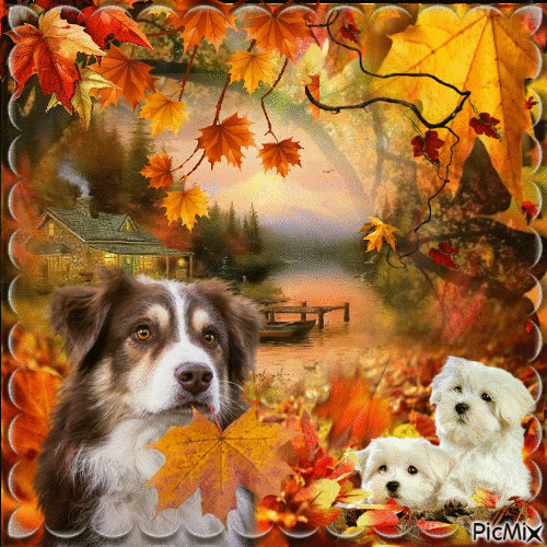 automne chiens - Gratis animerad GIF
