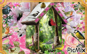 OTS OF FLASHING COLORS OF FLOWERS, A BIRDHOUSE, COLORFUL BIRDS, MOVING BIRDS, IN A GOLD FRAME. - Free animated GIF