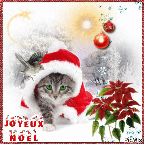 joyeux Noël mon chaton - Zdarma animovaný GIF
