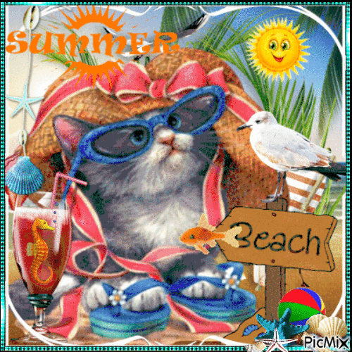 Summer cat(s) - Free animated GIF
