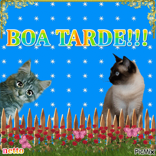 BOA TARDE!!! - 無料のアニメーション GIF