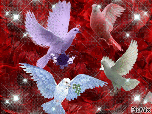 FOUR PRETTY DOVES AGAINST RED ROSES, WITH FLASHING LIGHTS. - GIF animasi gratis
