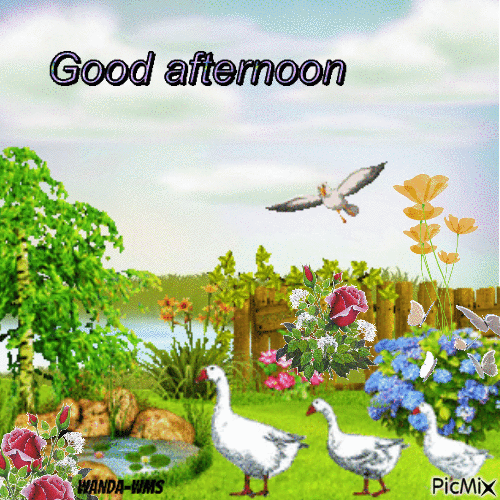 afternoon - 免费动画 GIF