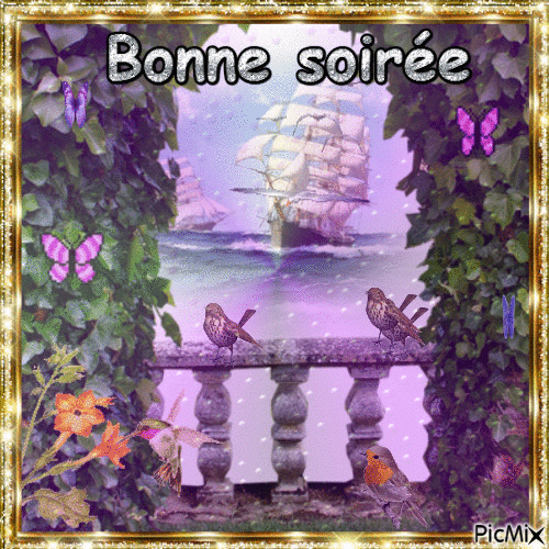 SOIREE 04 05 - Gratis animerad GIF
