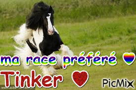 Tinker ♥ - Ingyenes animált GIF